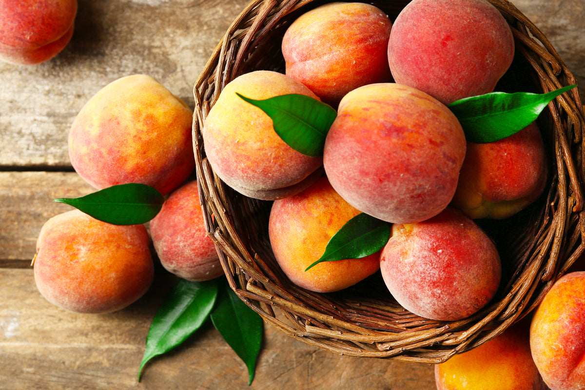 Peach Black Tea image 2