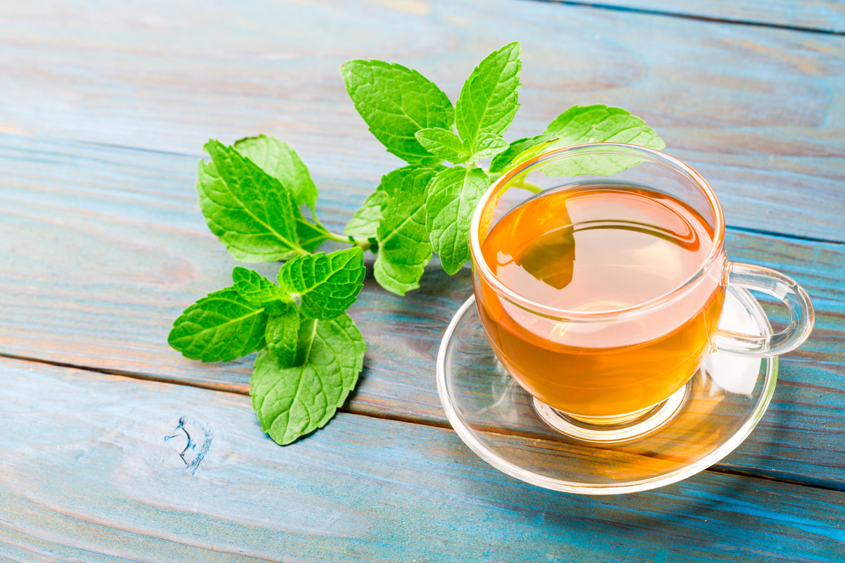 Cup of fresh mint peppermint tea on blue wooden background