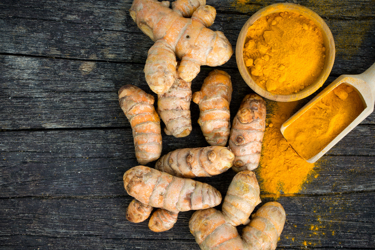 Fresh turmeric roots and ground turmeric powder on rustic wood